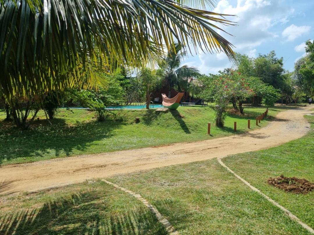Yala Peace Cottages ティッサマハーラーマ エクステリア 写真