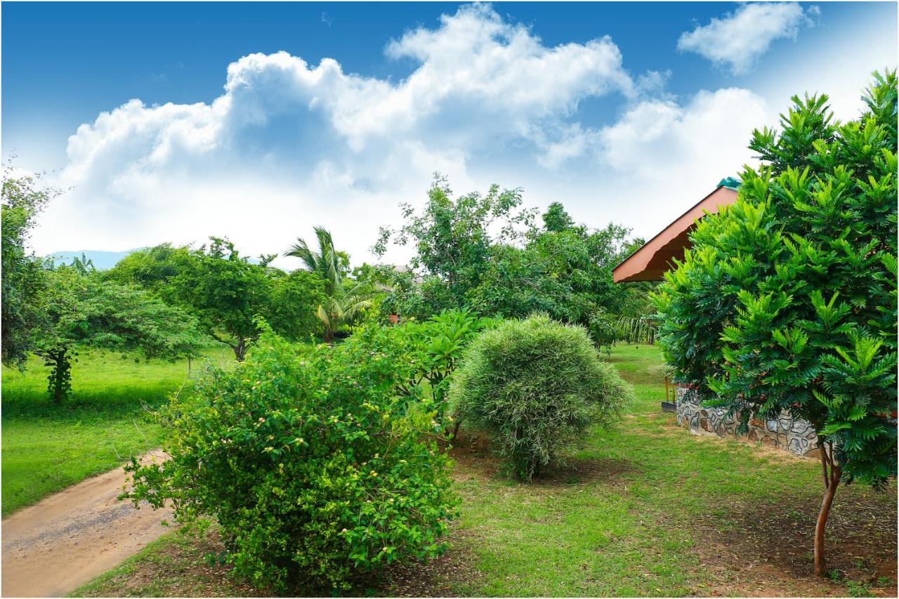 Yala Peace Cottages ティッサマハーラーマ エクステリア 写真