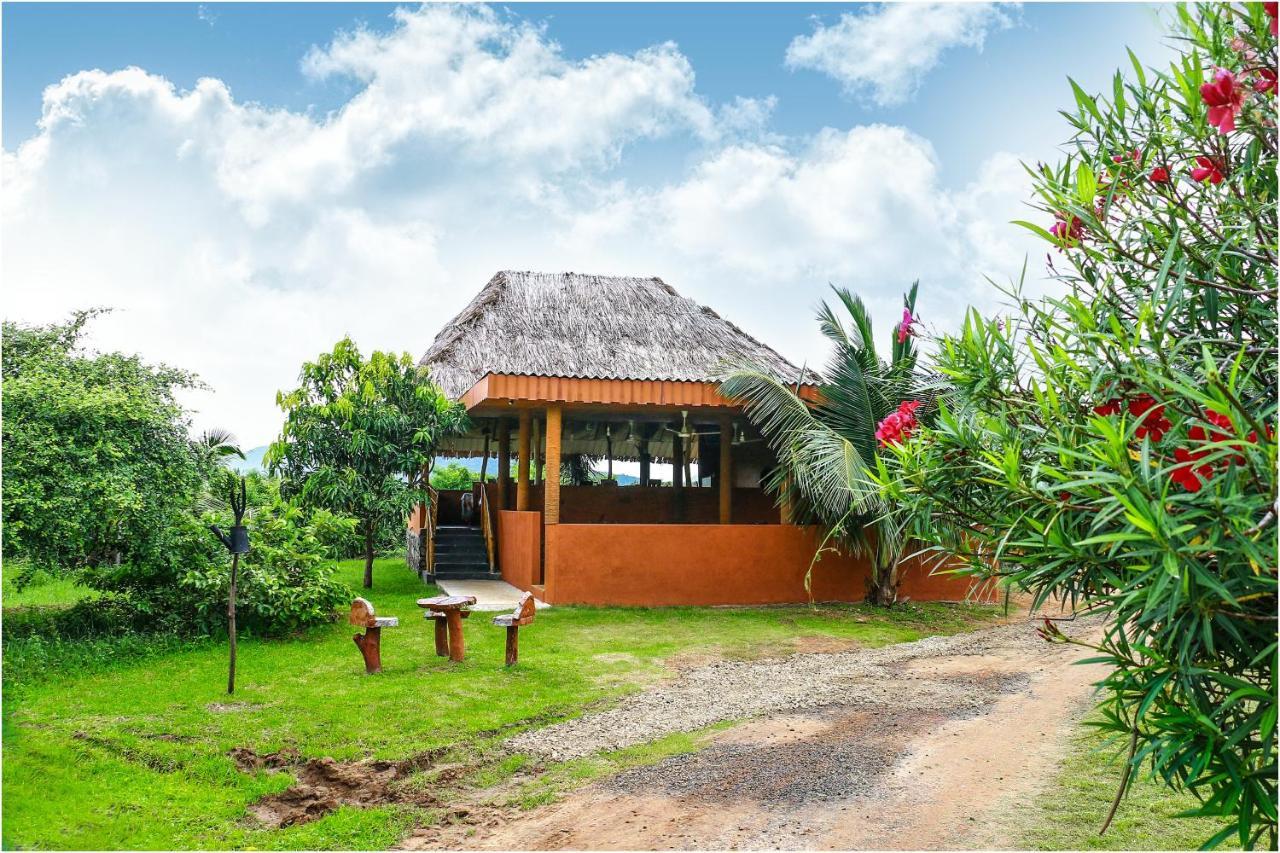 Yala Peace Cottages ティッサマハーラーマ エクステリア 写真