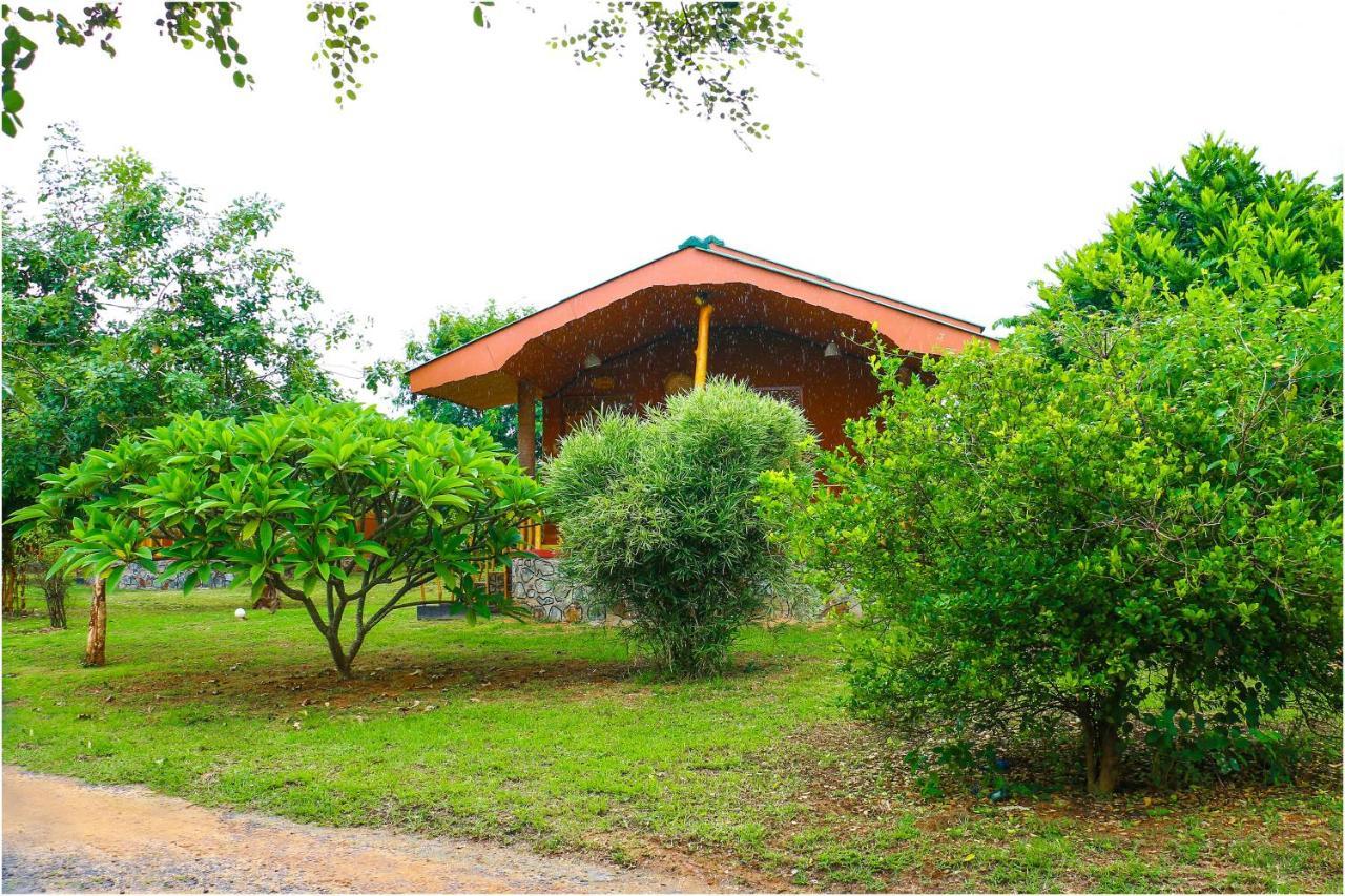 Yala Peace Cottages ティッサマハーラーマ エクステリア 写真